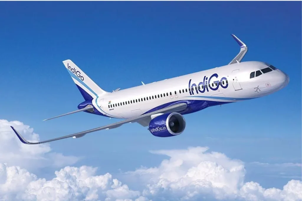 indigo flights