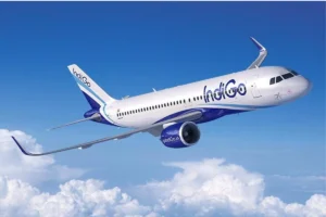 indigo flights
